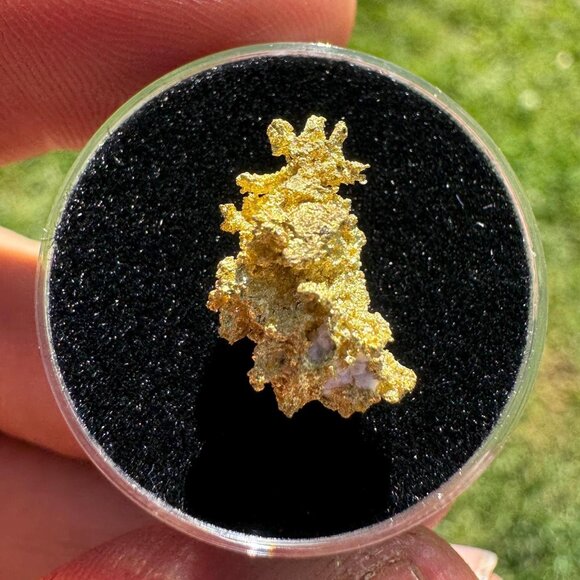 California Gold Crystal - 1.74 grams - Picture 2 of 11